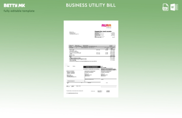 Модерен стил Данска Шаблон за деловни сметки за комунални услуги AURA Energi